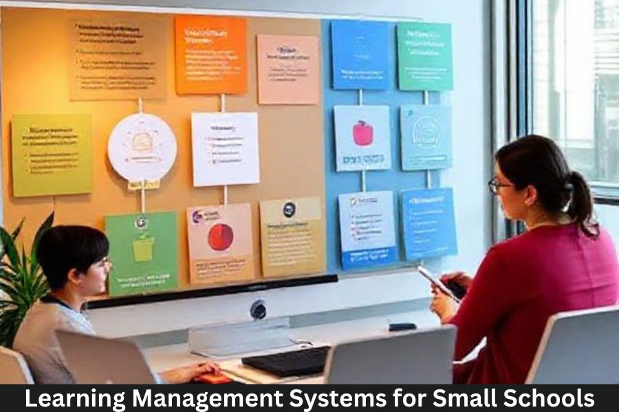 Learning Management Systems for Small Schools